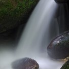 Stones in the Stream